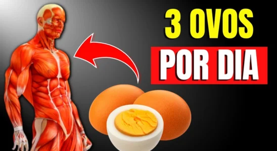 benefícios de comer 3 ovos por dia